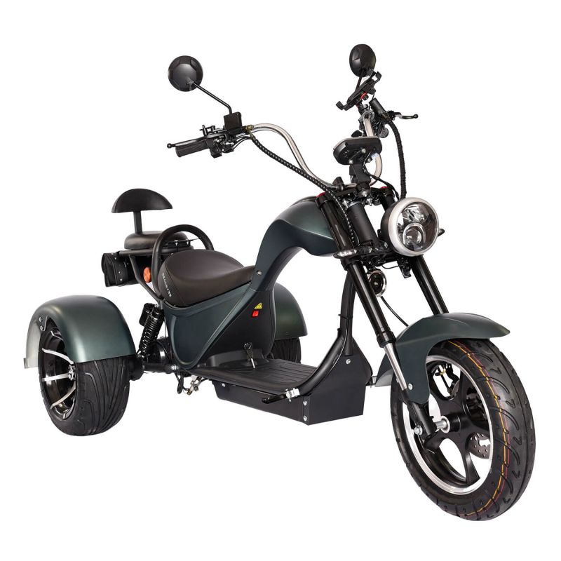 Электроскутер Citycoco SkyBoard TRIKE CHOPPER-2000 Электроскутер Citycoco SkyBoard TRIKE CHOPPER-2000