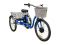 Электровелосипед трехколесный Horza Stels Trike 24-T2 350W 36V/9,6Ah